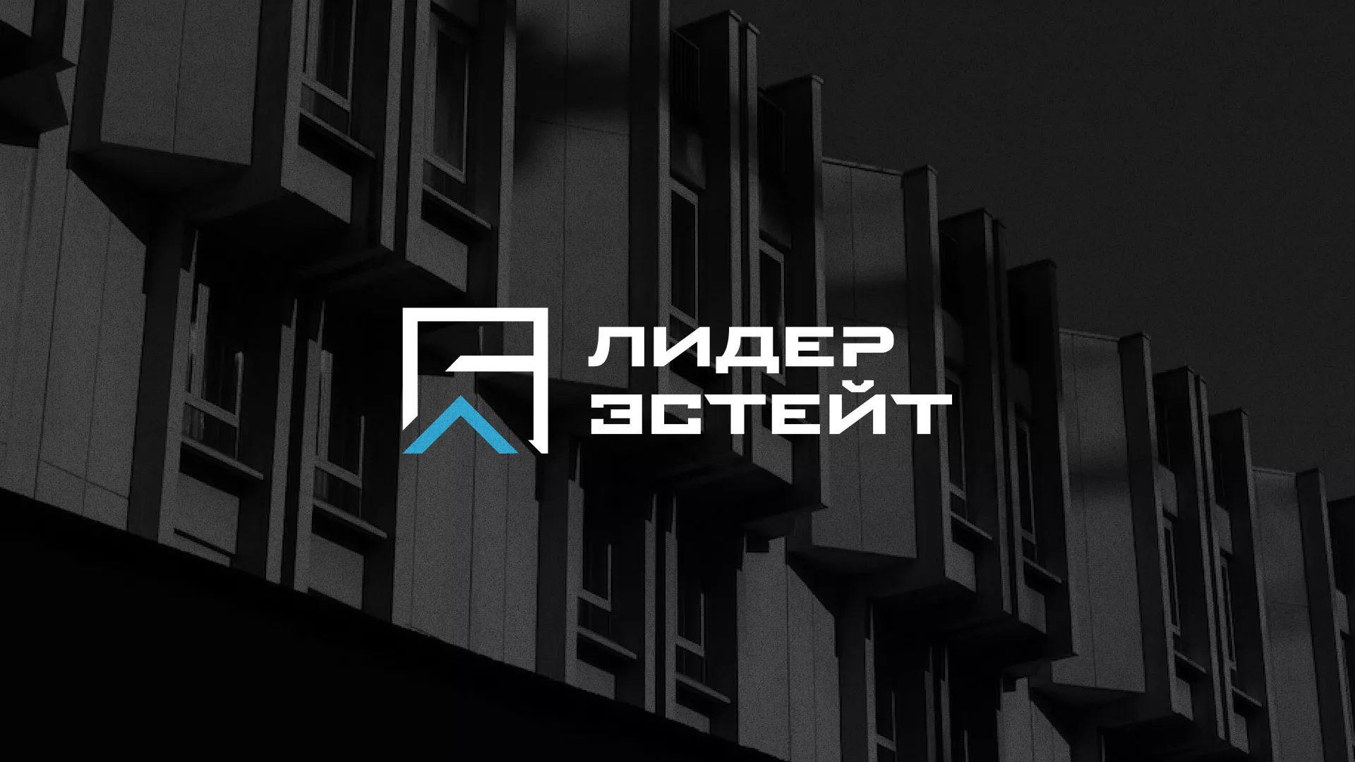 Разработка логотипа агентства недвижимости «Лидер Эстейт» в Ясногорске